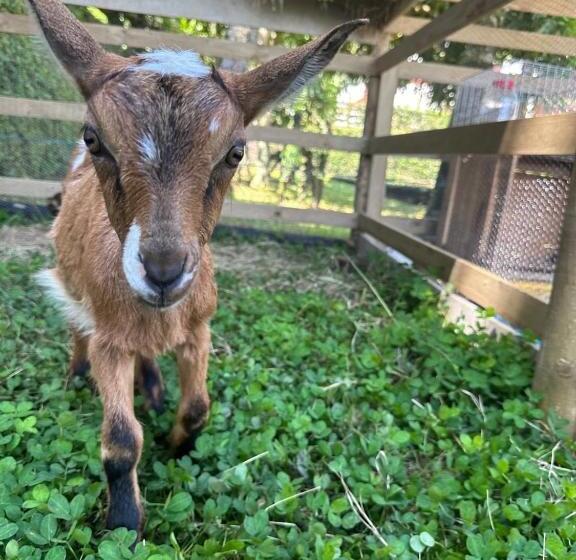Granja Del Cafe Hotel Y Centro De Convenciones