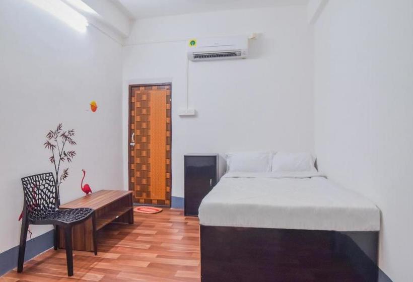 فندق Collection O 81435 Dc Lodge