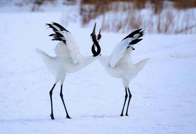 Pension Yunshuiyao雲水瑶民宿