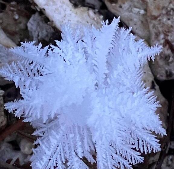 Pension Yunshuiyao雲水瑶民宿