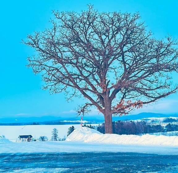 Pension Yunshuiyao雲水瑶民宿