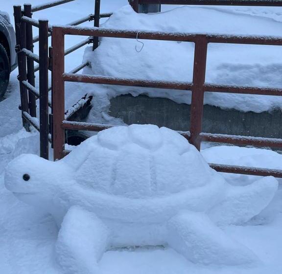 Pension Yunshuiyao雲水瑶民宿