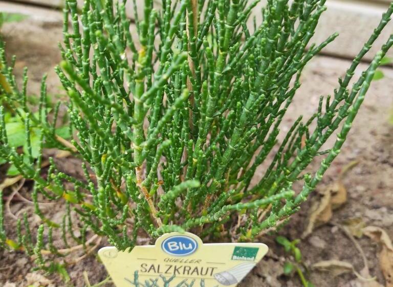 مبيت وإفطار La Maison Bett & Bike