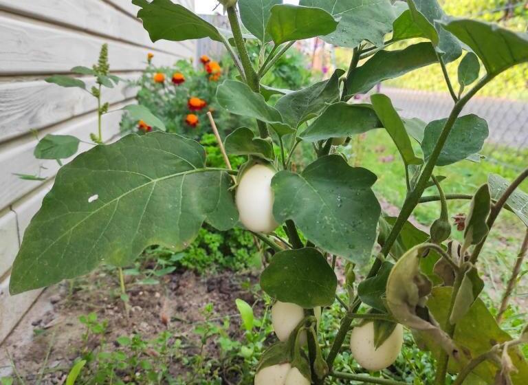 مبيت وإفطار La Maison Bett & Bike