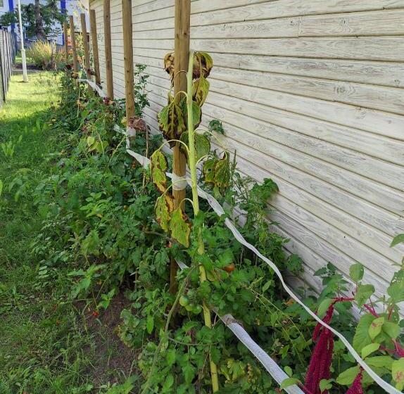 مبيت وإفطار La Maison Bett & Bike