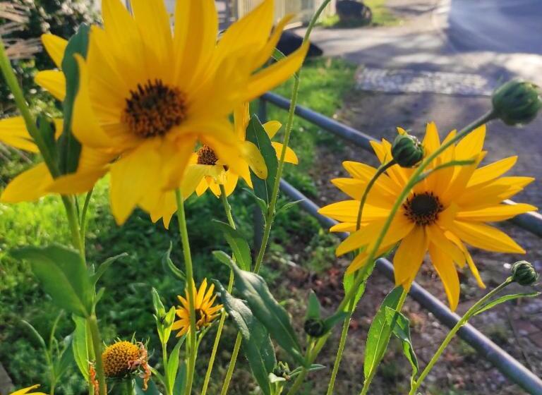 مبيت وإفطار La Maison Bett & Bike