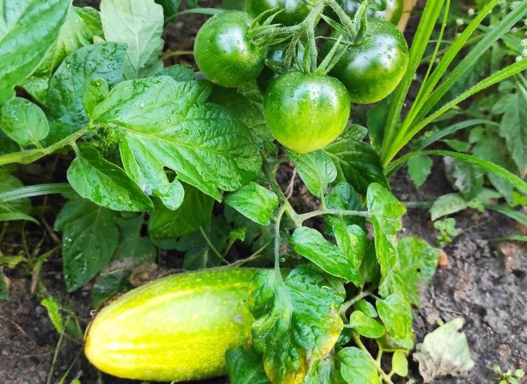 مبيت وإفطار La Maison Bett & Bike