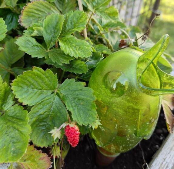 مبيت وإفطار La Maison Bett & Bike