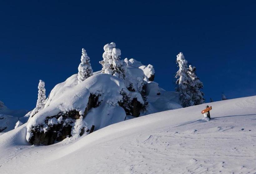 住宿加早餐 Pension Angelo