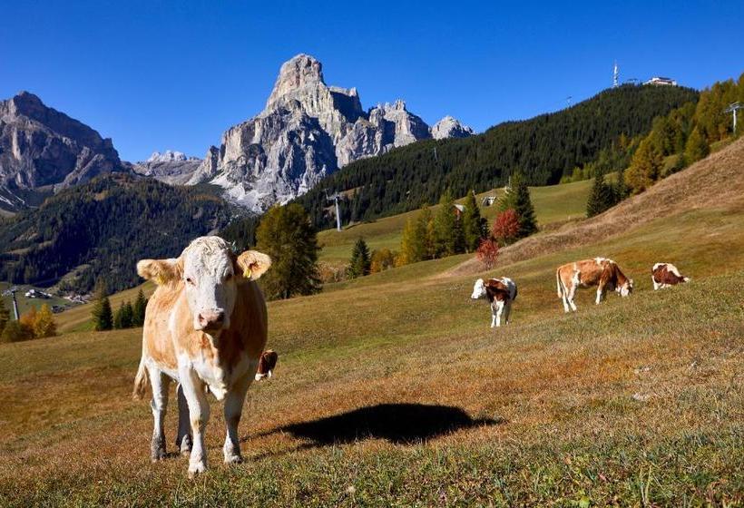 住宿加早餐 Pension Angelo