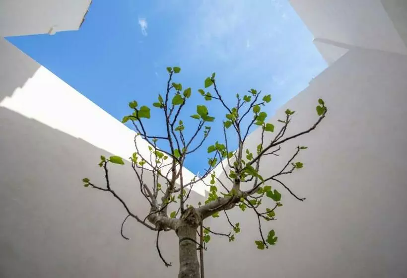 ホテル Dimora Siqu