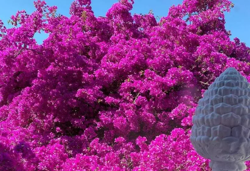 Majatalo Le Dimore In Piazzetta