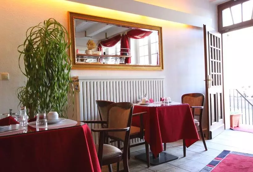 Altstadthotel Hayk Am Rhein