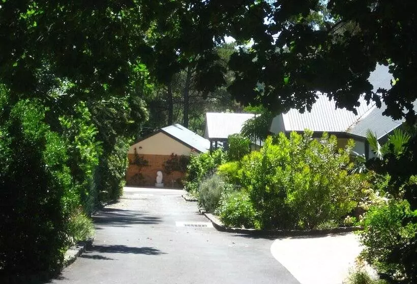 Bungunyah Apartments