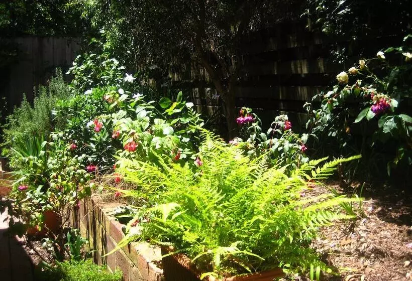 Bungunyah Apartments