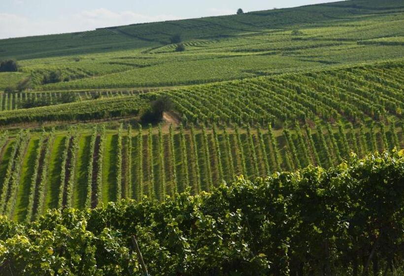 Fast Hotel Colmar Houssen