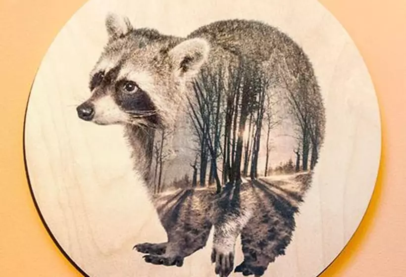 Отель Alpenrose Bayrischzell