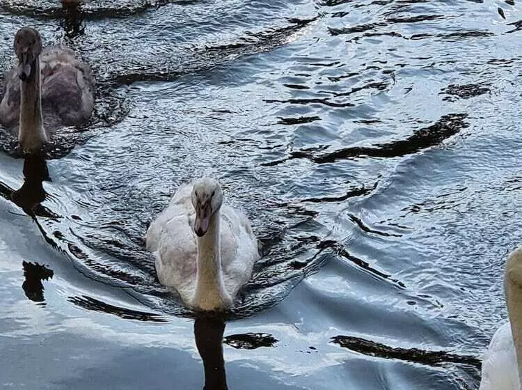 Altes Eishaus, Hotel & Restaurant