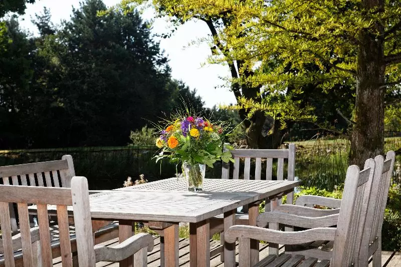 فندق Bold Campus