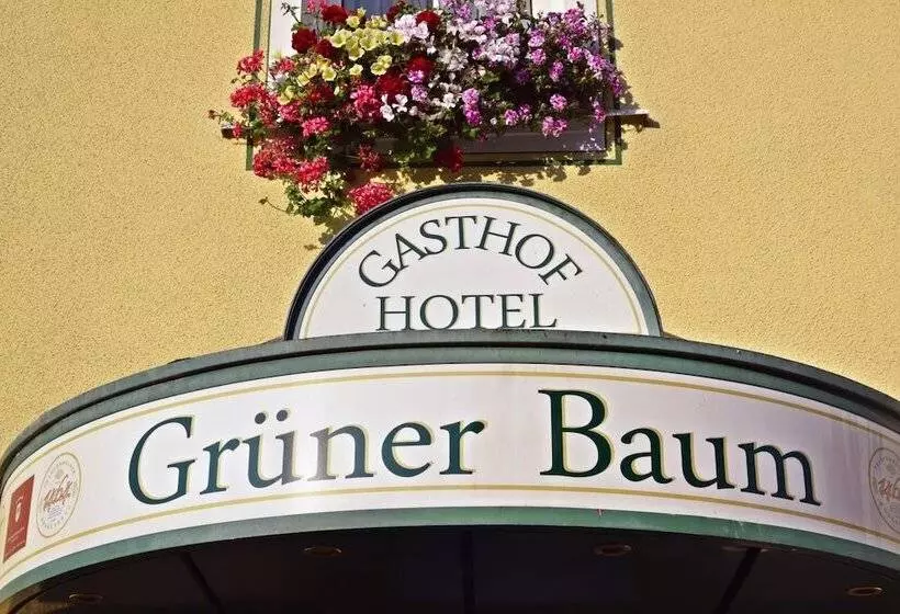 Hotel Gruner Baum