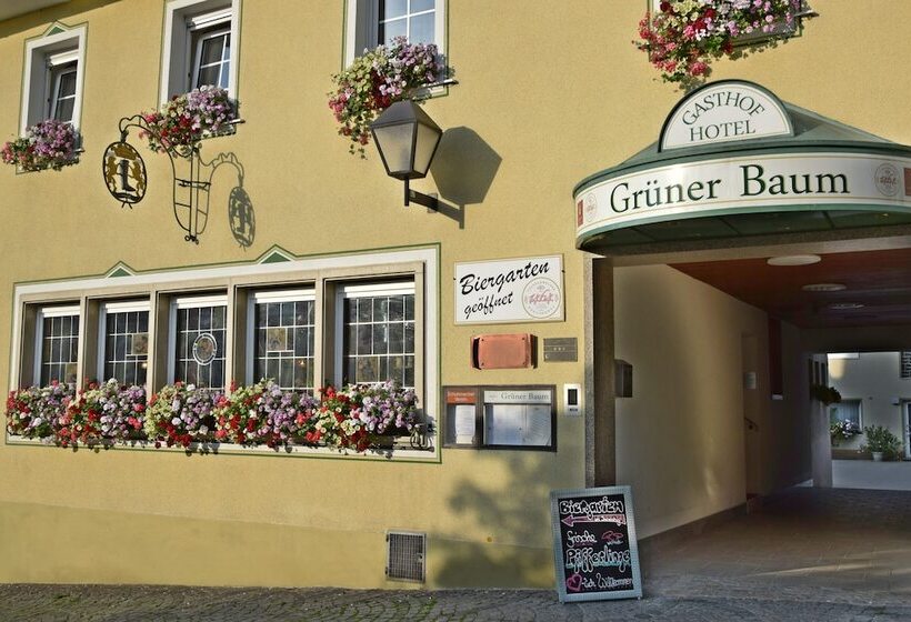 酒店 Gruner Baum