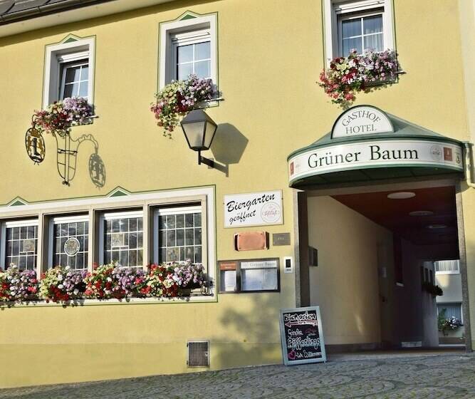 酒店 Gruner Baum