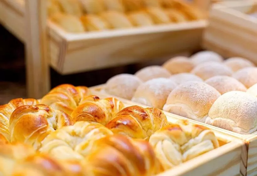 Hôtel Ibis Styles Manaus