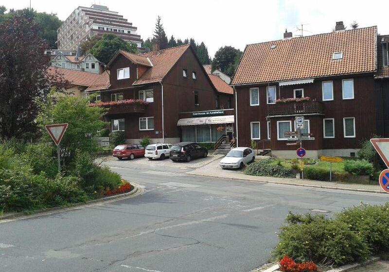 فندق Pension Am Kurmittelhaus