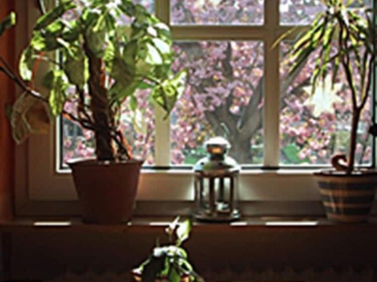 בית מלון כפרי Rosengarten