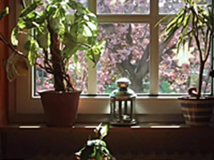 فندق Rosengarten