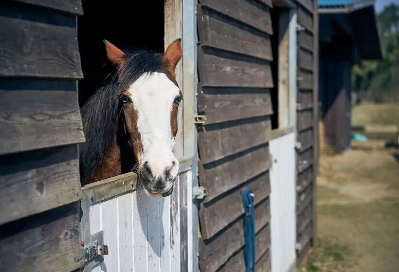 호텔 Van Der Valk Resort Linstow