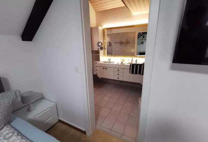 Apart Hotel Near Lucerne