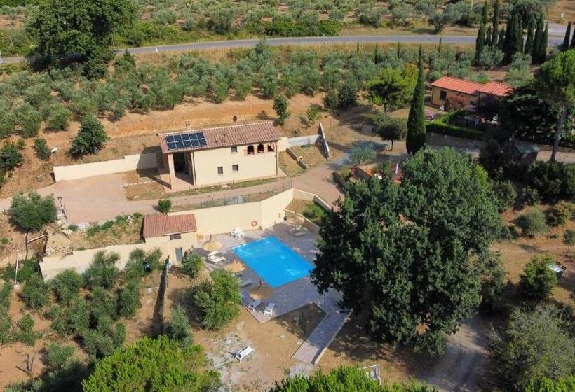 ホテル Agriturismo I Cerroni Montescudaio