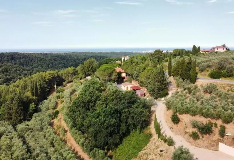 Hotelli Agriturismo I Cerroni Montescudaio