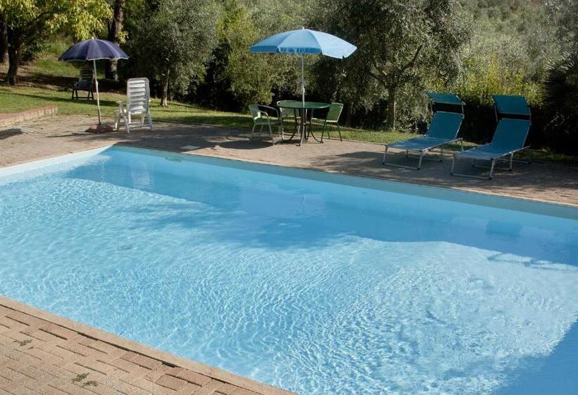 ホテル Agriturismo I Cerroni Montescudaio