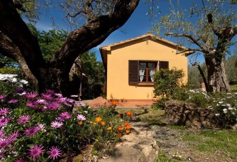 Hotelli Agriturismo I Cerroni Montescudaio