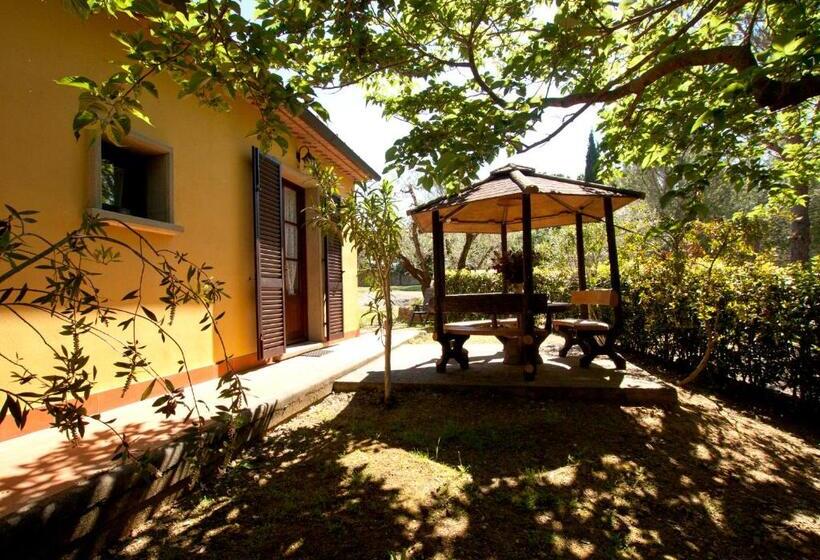 ホテル Agriturismo I Cerroni Montescudaio