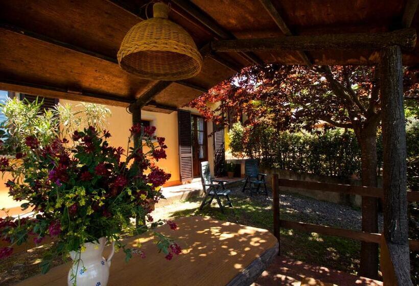 ホテル Agriturismo I Cerroni Montescudaio