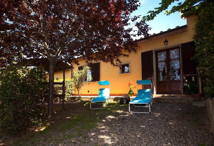 ホテル Agriturismo I Cerroni Montescudaio