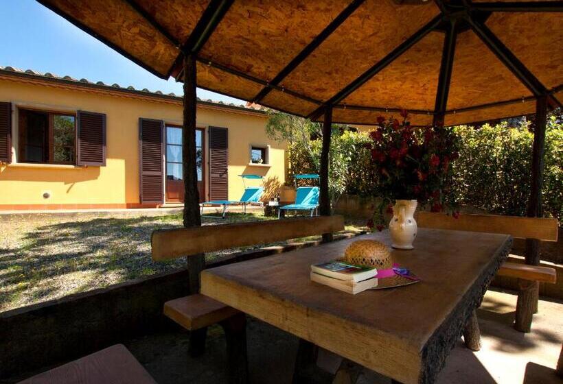 ホテル Agriturismo I Cerroni Montescudaio