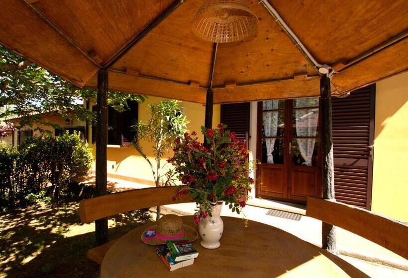 ホテル Agriturismo I Cerroni Montescudaio