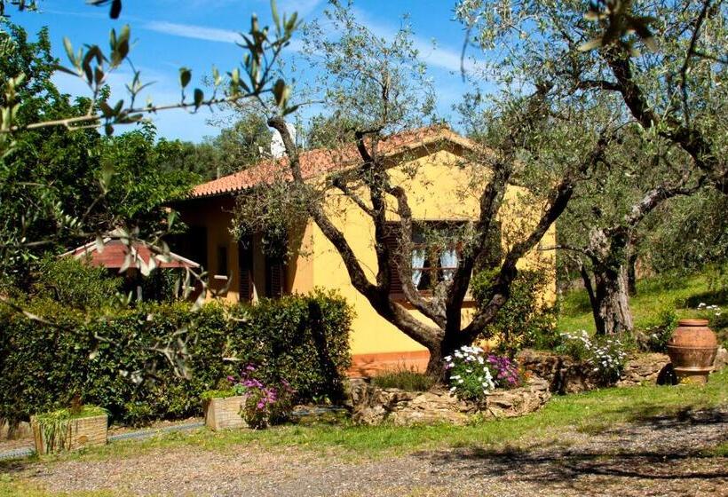 ホテル Agriturismo I Cerroni Montescudaio