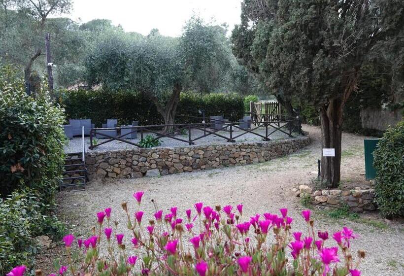 ホテル Agriturismo Pimpinnacolo