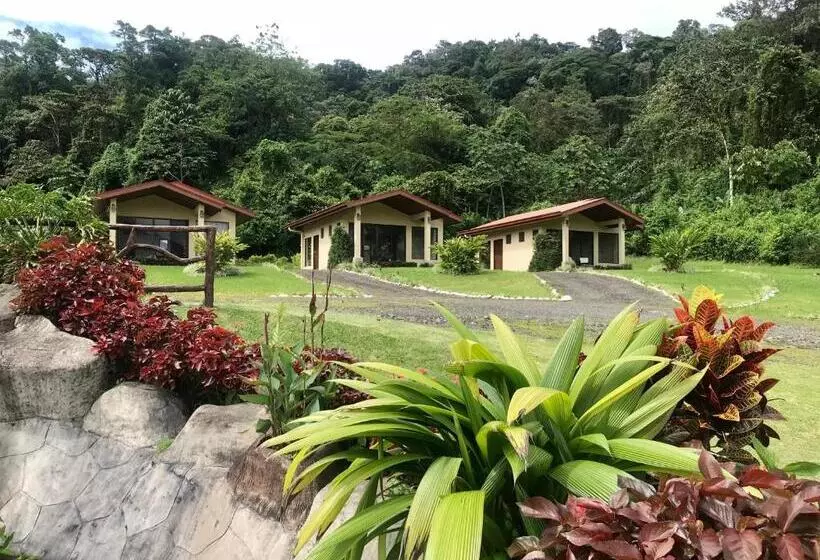 ホテル Arenal Roca Suites