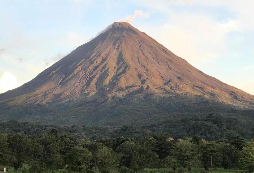 فندق Arenal Roca Suites