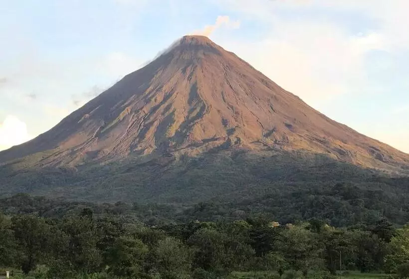 ホテル Arenal Roca Suites