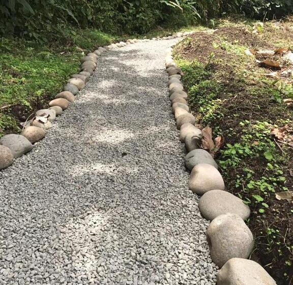 فندق Arenal Roca Suites