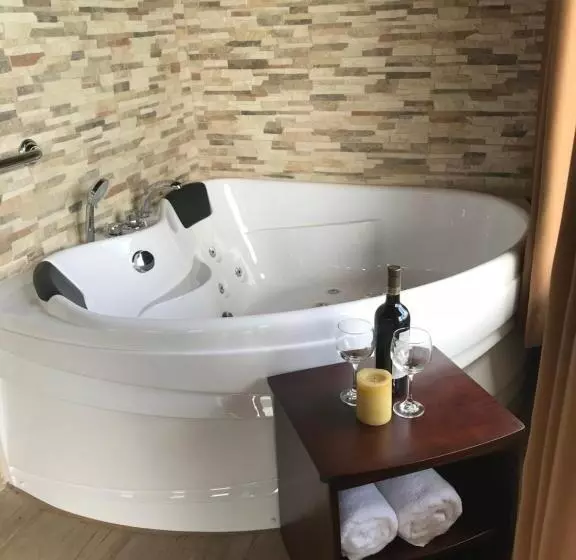 ホテル Arenal Roca Suites