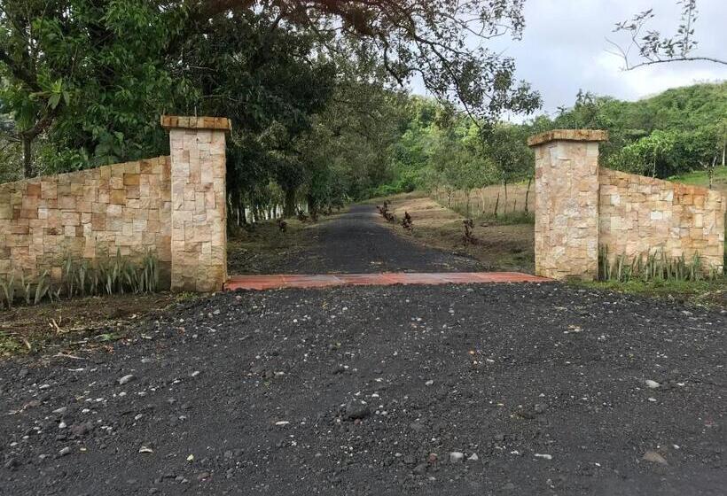 فندق Arenal Roca Suites