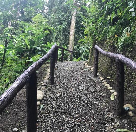 فندق Arenal Roca Suites